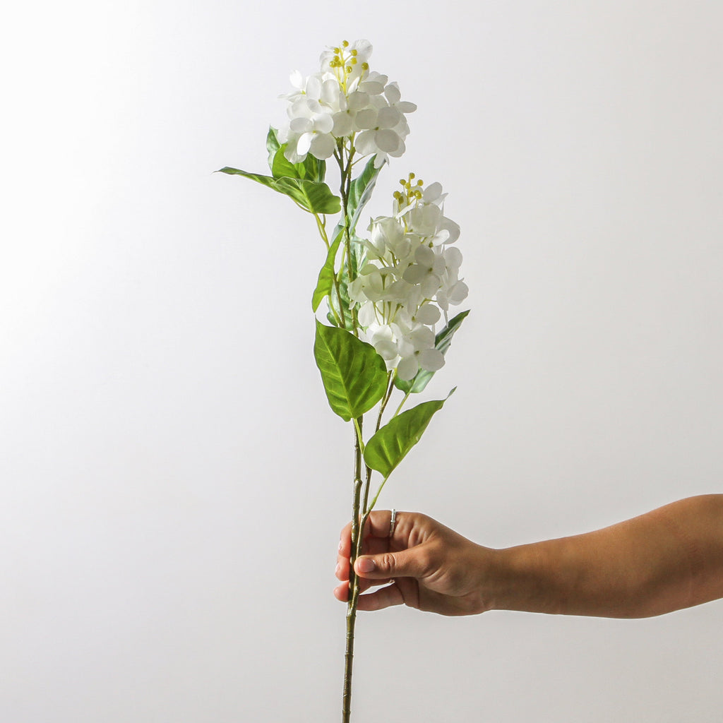 Hydrangea Spray - White 74 cm - Few and Far - Flowers & Foliage