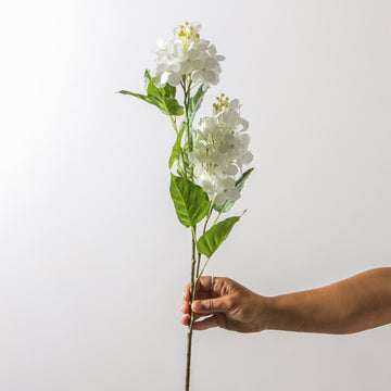 Hydrangea Spray - White 74 cm - Few and Far - Flowers & Foliage