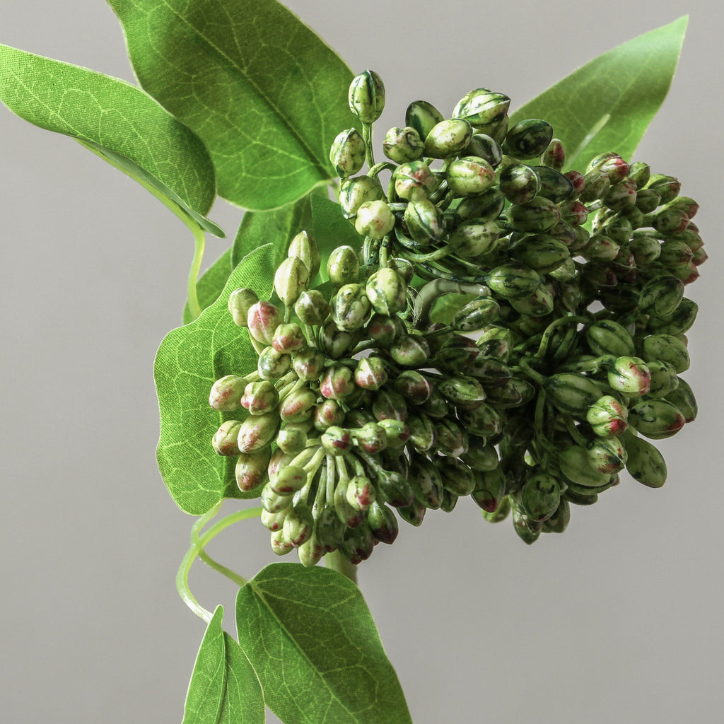 Kalanchoe Buds Green 43cm - Few and Far - Flowers & Foliage