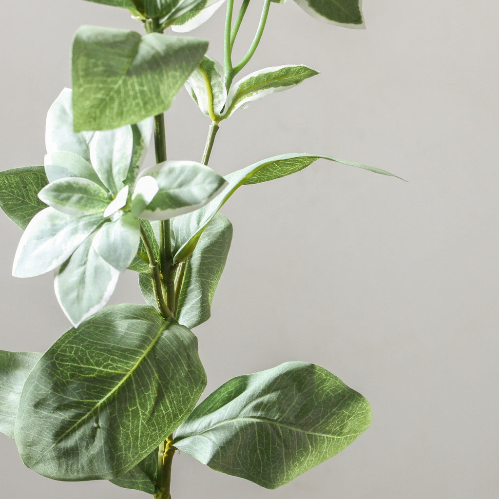 Leaf Spray 68cm Green - Few and Far - Flowers & Foliage