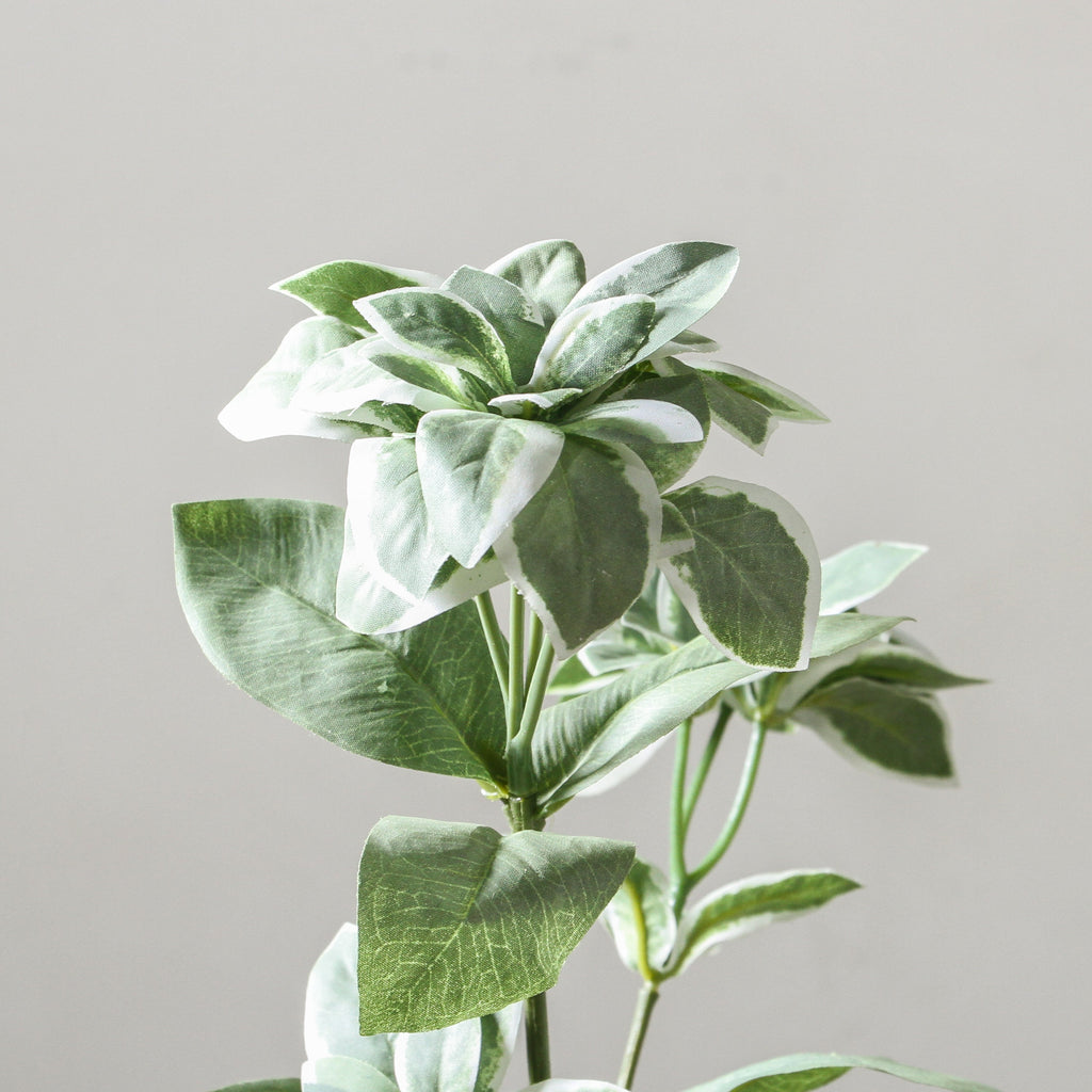 Leaf Spray 68cm Green - Few and Far - Flowers & Foliage
