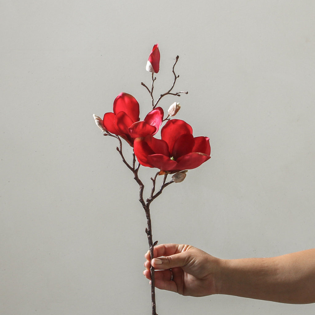 Magnolia 50cm Red - Few and Far - Flowers & Foliage