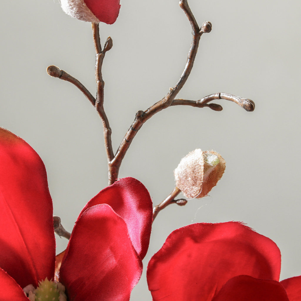 Magnolia 50cm Red - Few and Far - Flowers & Foliage