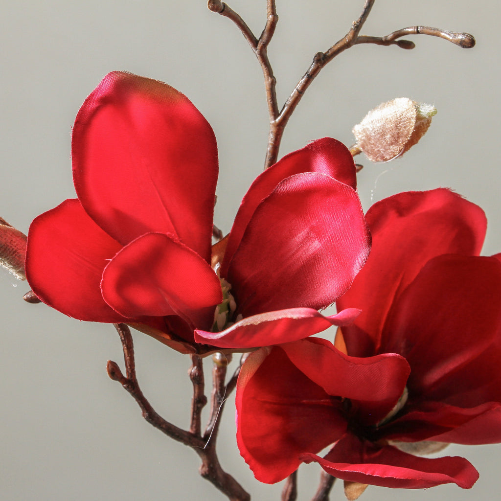 Magnolia 50cm Red - Few and Far - Flowers & Foliage