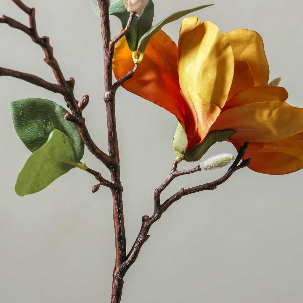 Magnolia 87cm Yellow - Few and Far - Flowers & Foliage