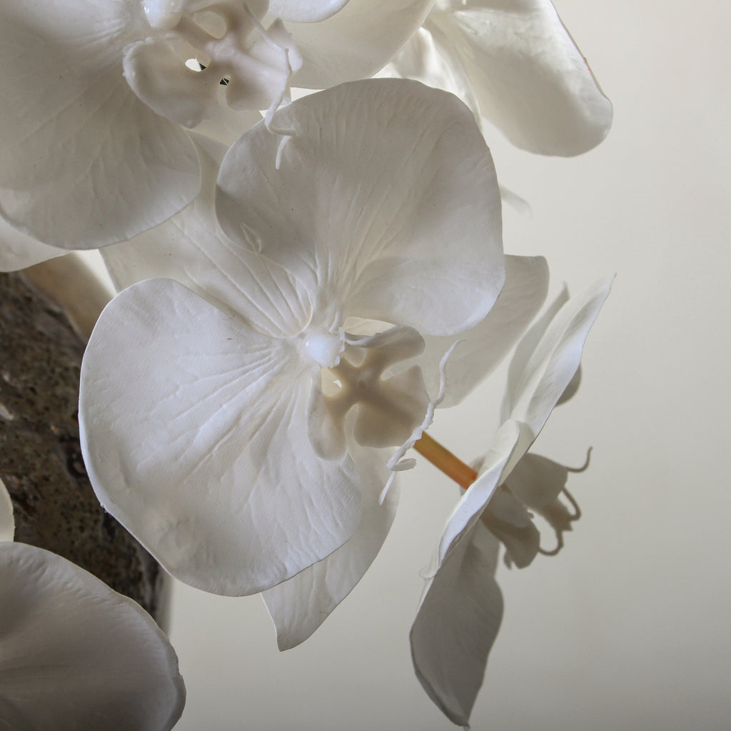 Modern Sculpture - Few and Far - Flowers & Foliage