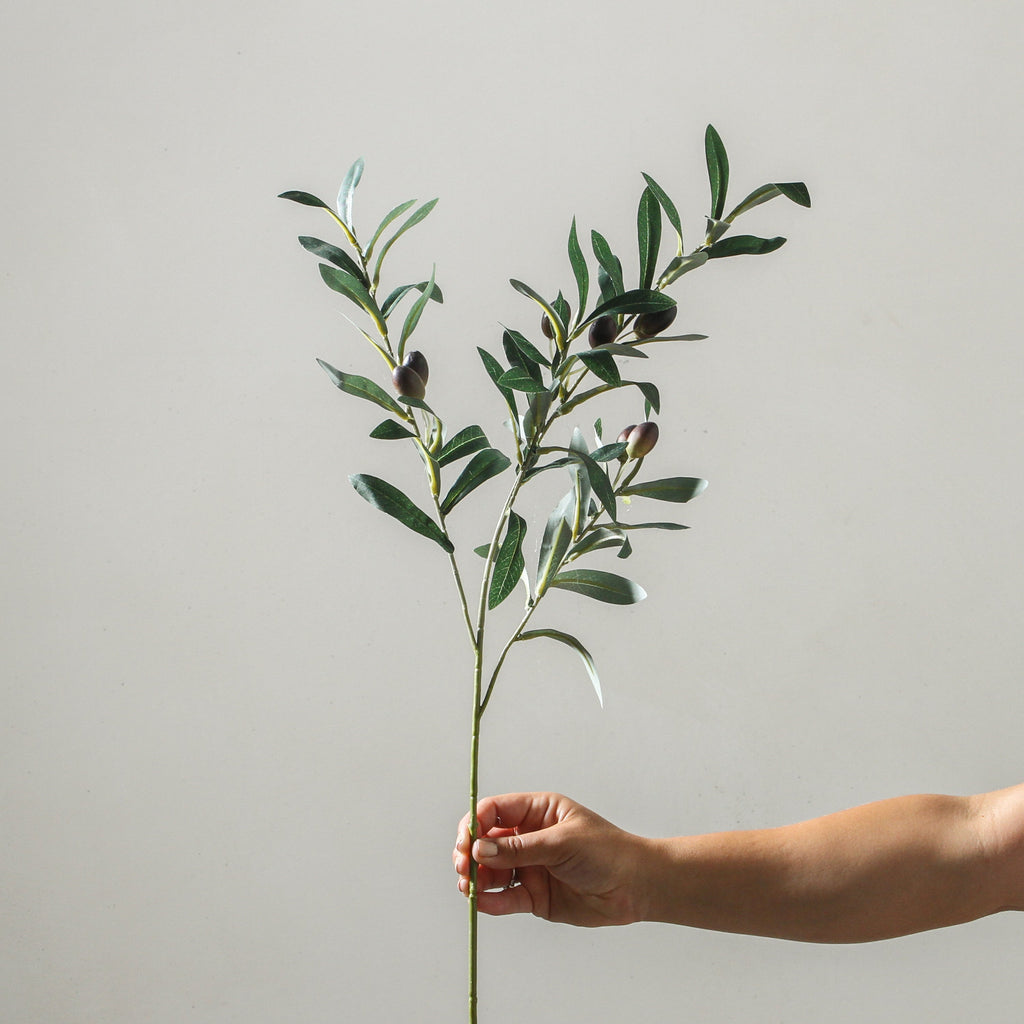 Olive Branch 74cm Green - Few and Far - Flowers & Foliage