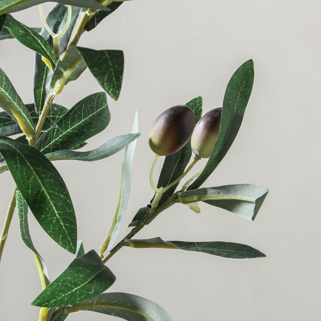 Olive Branch 74cm Green - Few and Far - Flowers & Foliage