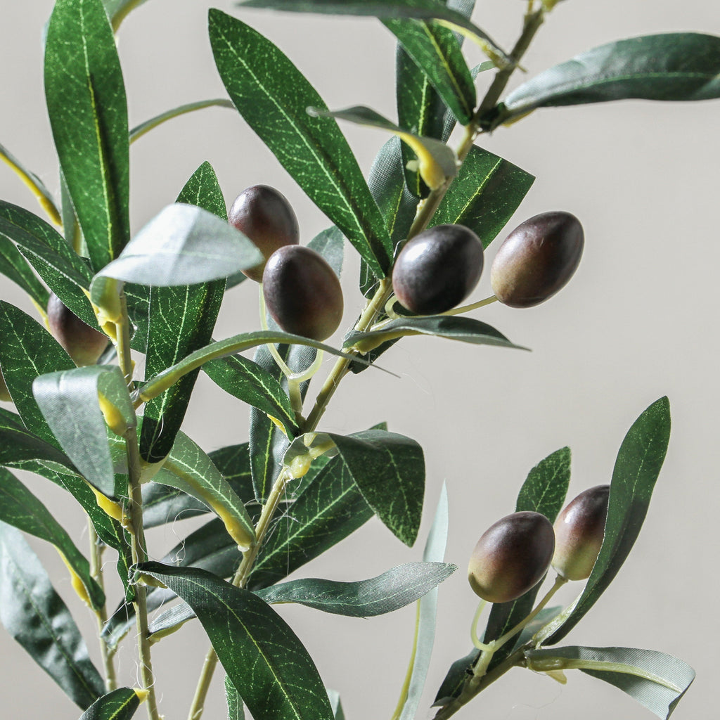 Olive Branch 74cm Green - Few and Far - Flowers & Foliage