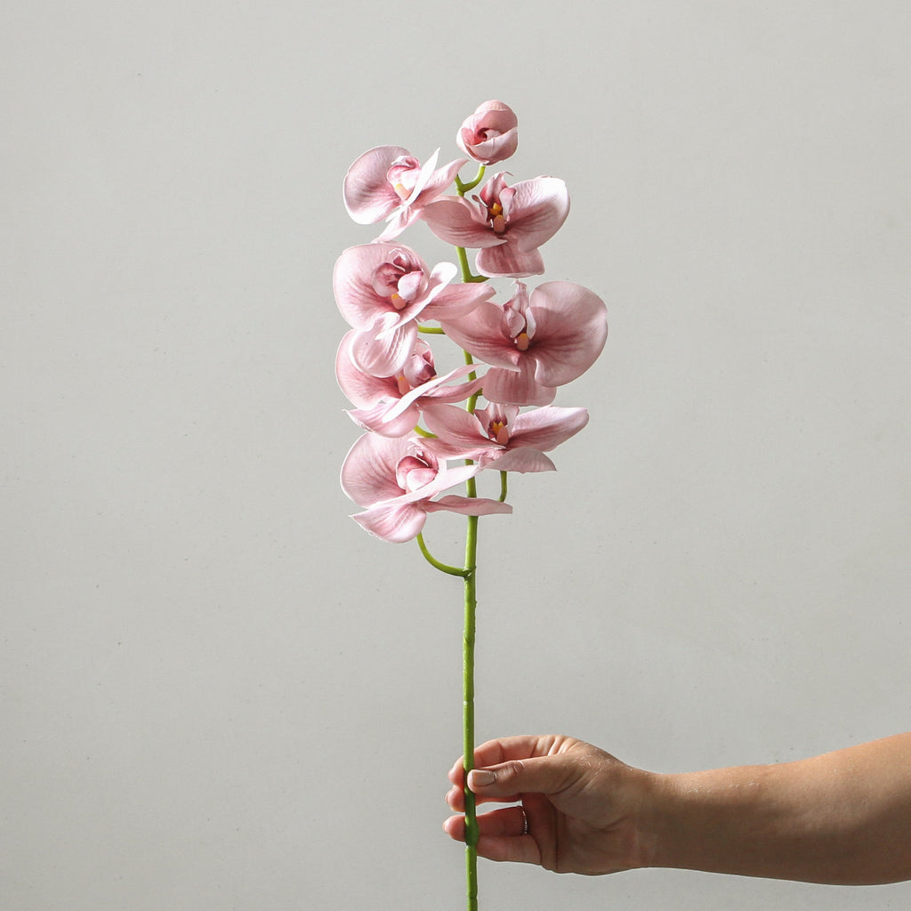 Orchid Phalaenopsis Spray Dusty Pink 92cm - Few and Far - Flowers & Foliage
