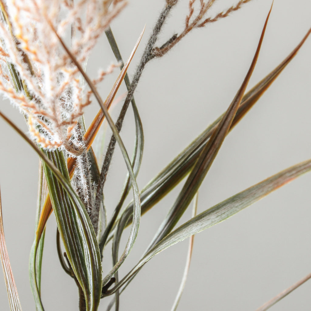 Plume Grass Spray Dusty Pink 88cm - Few and Far - Flowers & Foliage