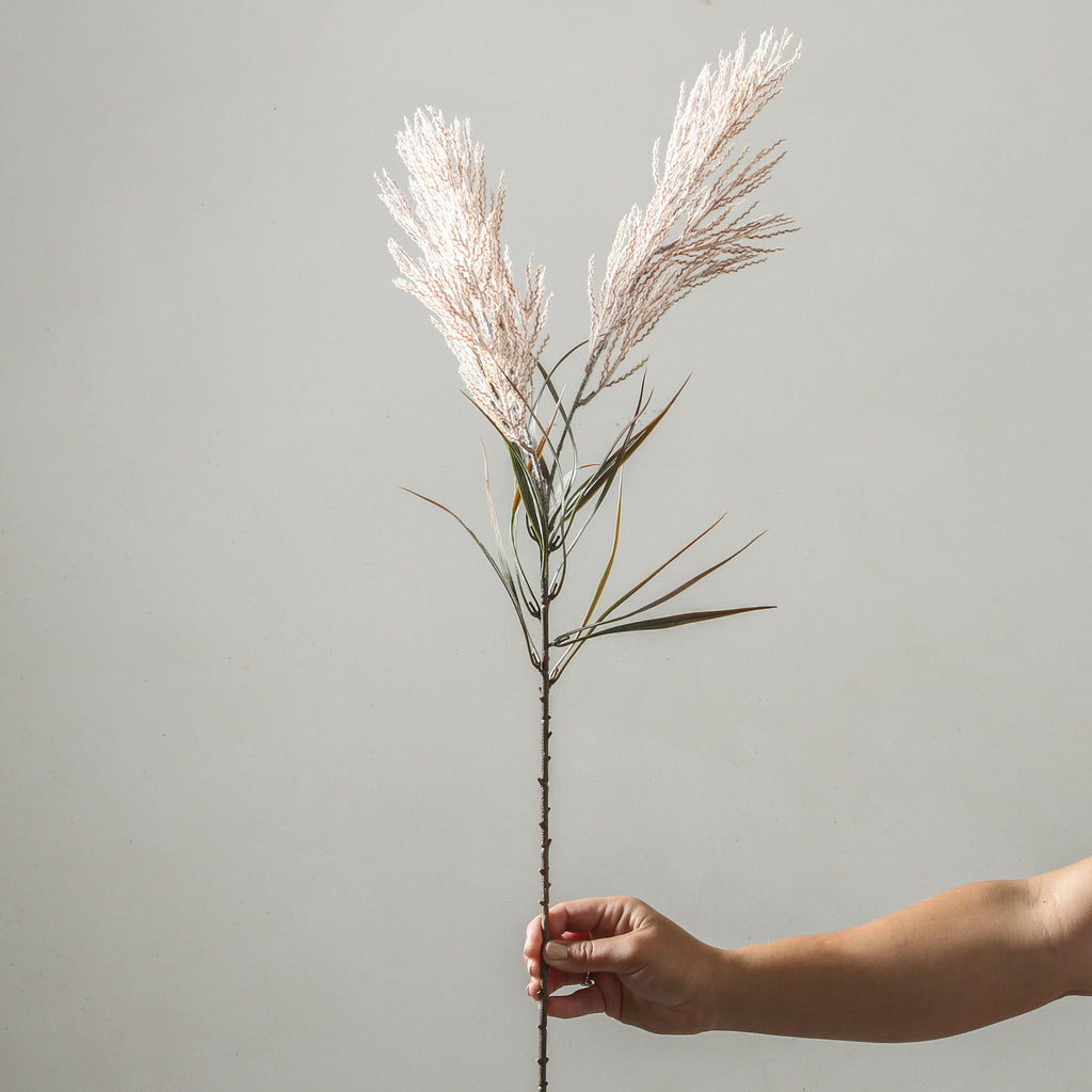 Plume Grass Spray Dusty Pink 88cm - Few and Far - Flowers & Foliage