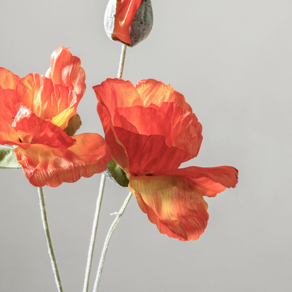 Poppy 50cm Orange - Few and Far - Flowers & Foliage
