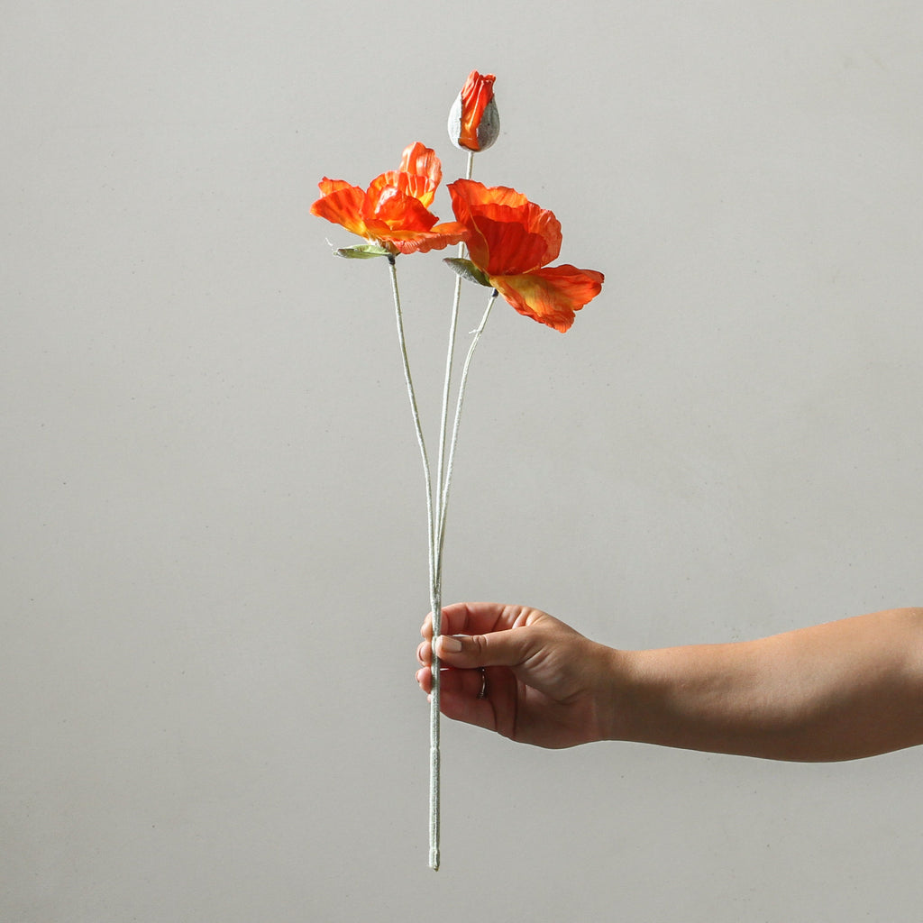 Poppy 50cm Orange - Few and Far - Flowers & Foliage