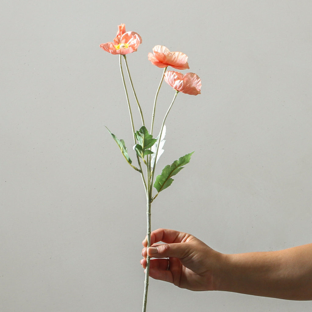Poppy 58cm Peach - Few and Far - Flowers & Foliage