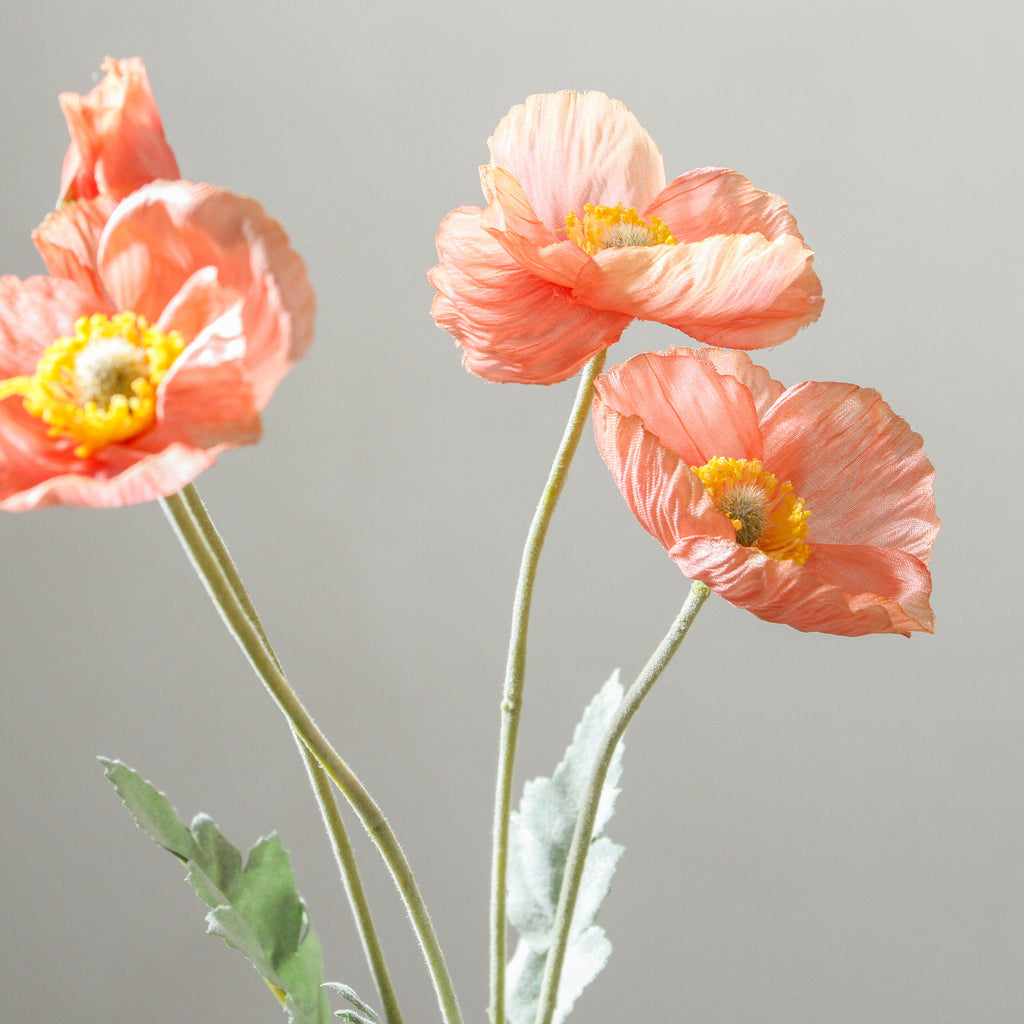 Poppy 58cm Peach - Few and Far - Flowers & Foliage