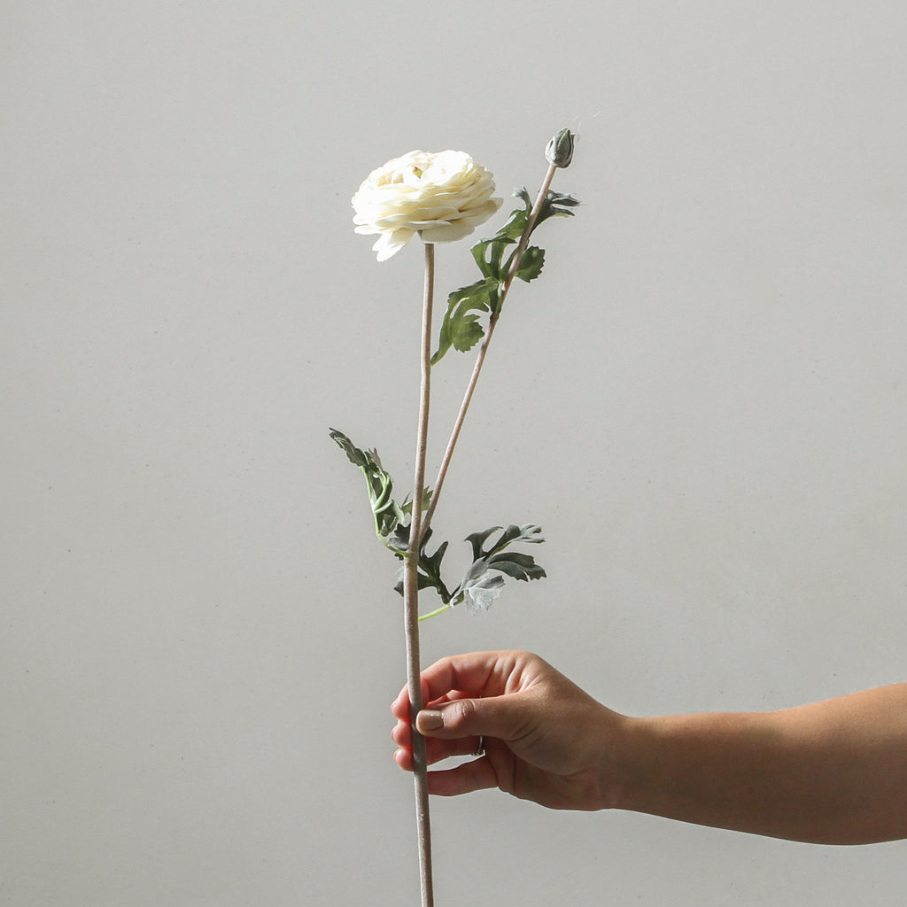 Ranunculus 68cm White - Few and Far - Flowers & Foliage