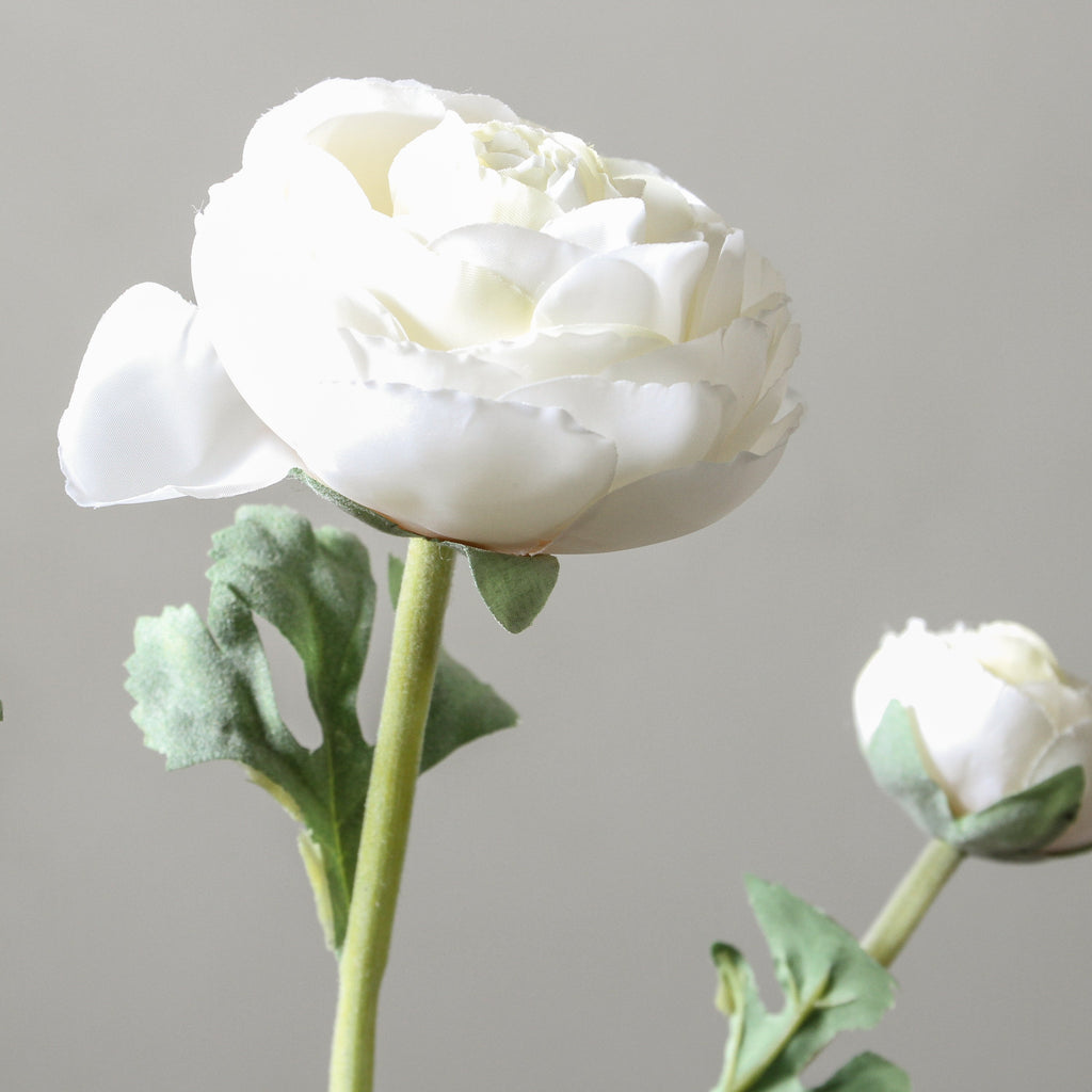 Ranunculus 73cm Cream - Few and Far - Flowers & Foliage