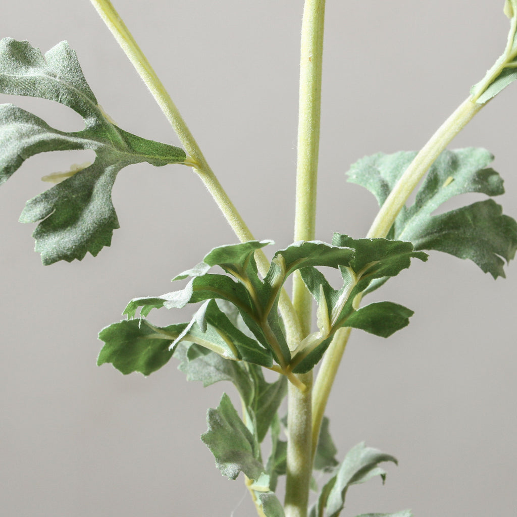 Ranunculus 73cm Cream - Few and Far - Flowers & Foliage