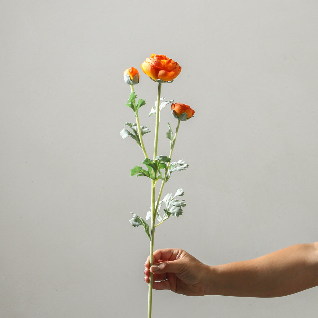 Ranunculus 73cm Orange - Few and Far - Flowers & Foliage