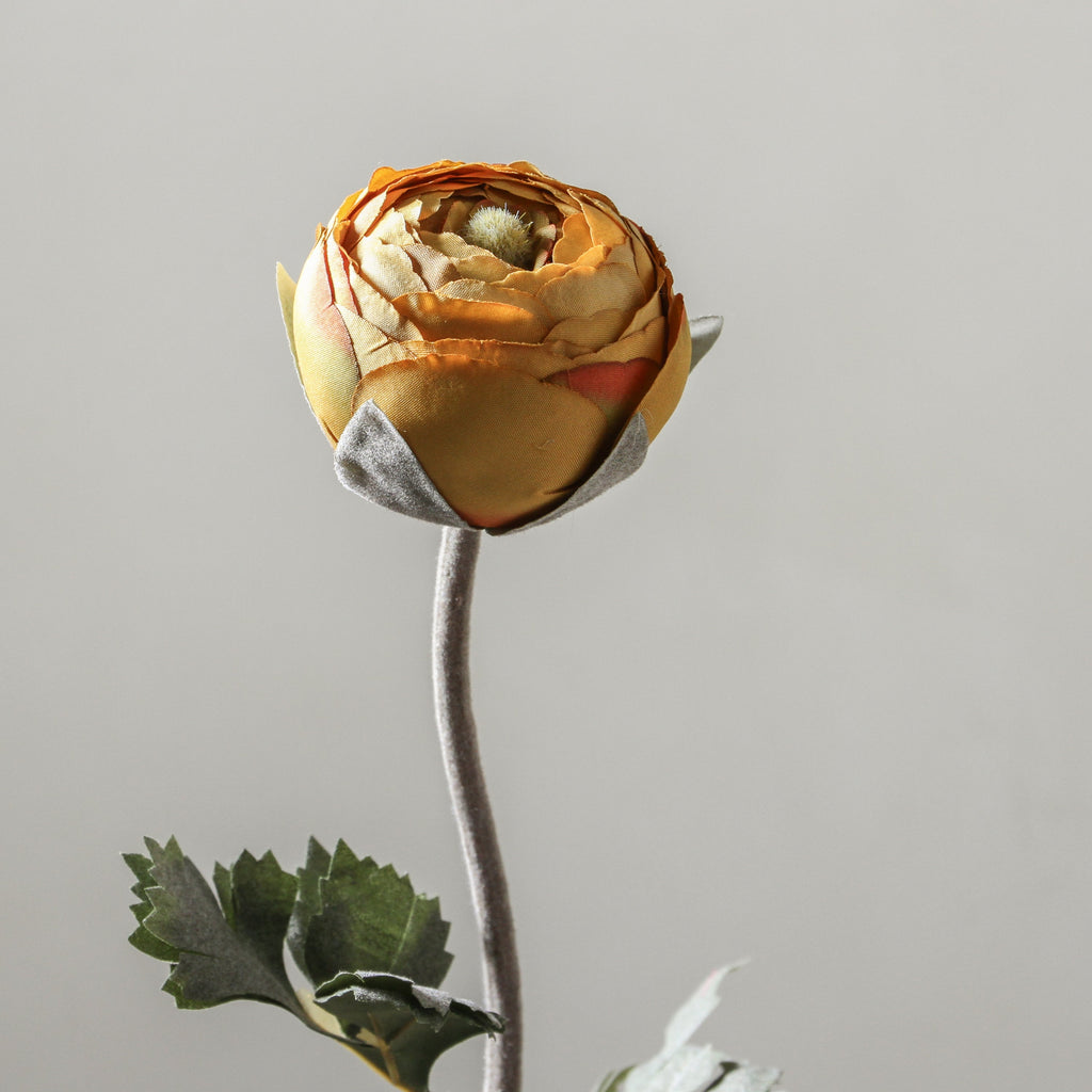 Ranunculus Asiaticus 50cm Yellow - Few and Far - Flowers & Foliage