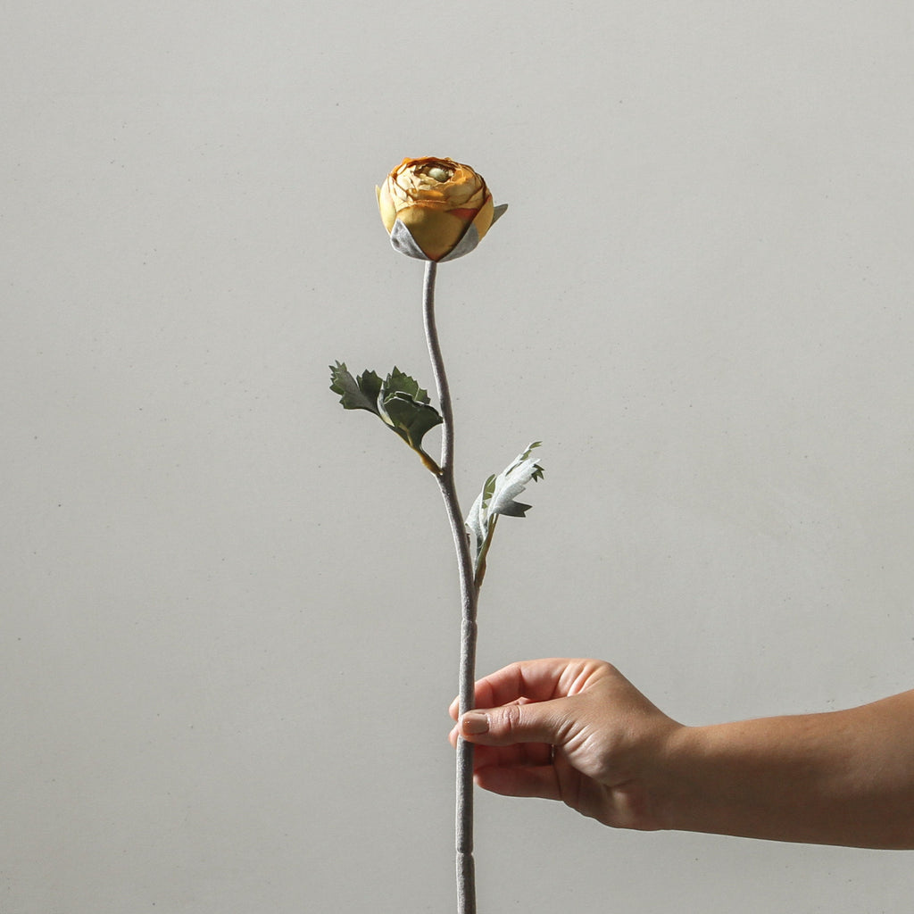 Ranunculus Asiaticus 50cm Yellow - Few and Far - Flowers & Foliage