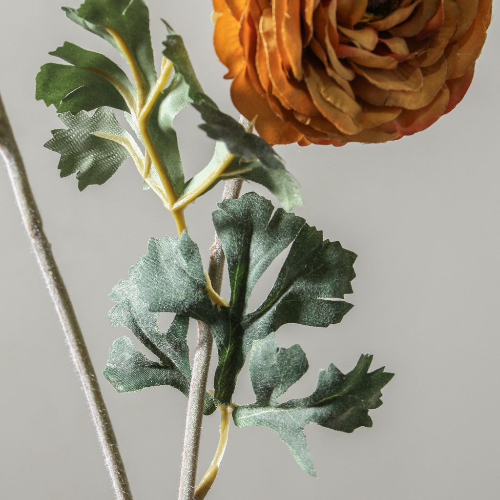 Ranunculus Asiaticus 72cm Yellow - Few and Far - Flowers & Foliage