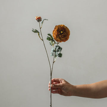Ranunculus Asiaticus 72cm Yellow - Few and Far - Flowers & Foliage