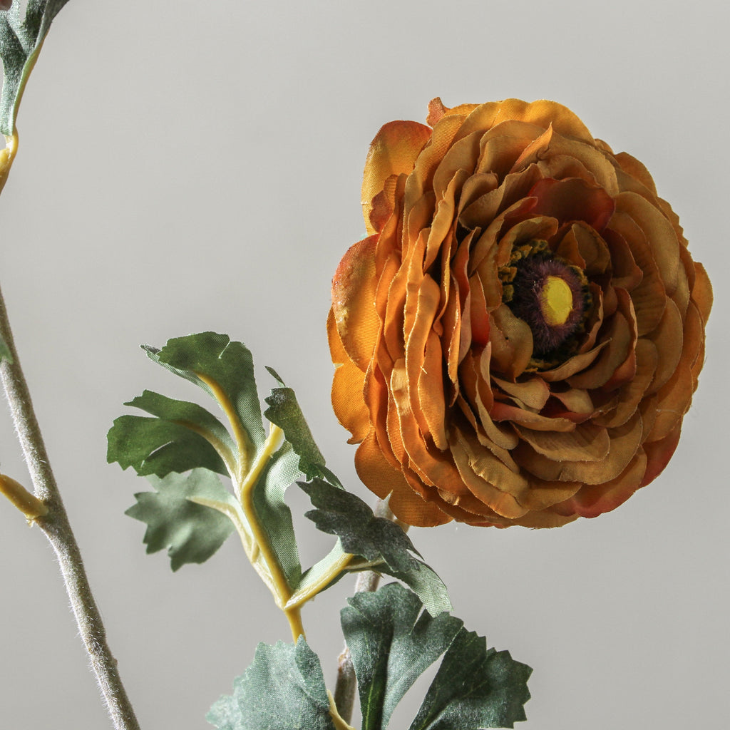Ranunculus Asiaticus 72cm Yellow - Few and Far - Flowers & Foliage