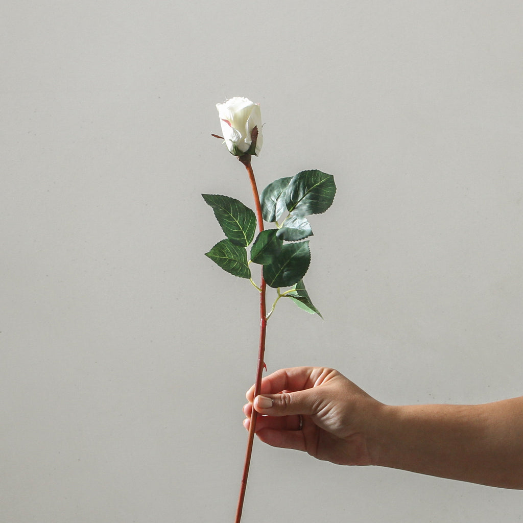 Rose 51cm White - Few and Far - Flowers & Foliage