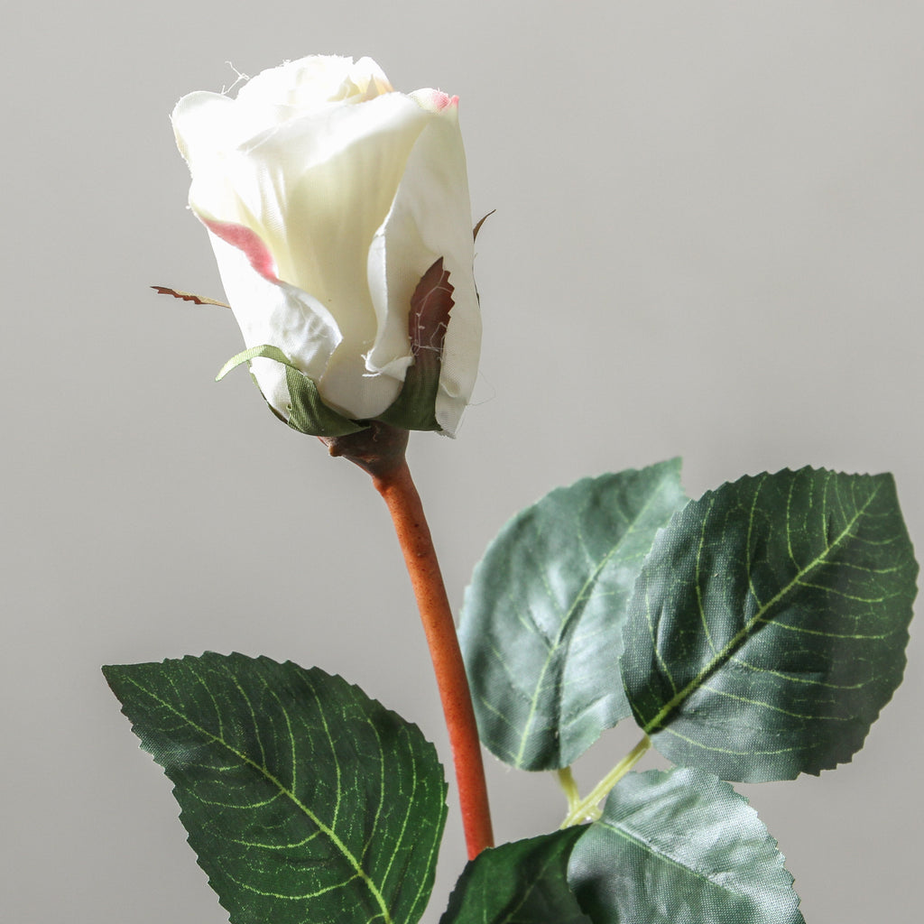 Rose 51cm White - Few and Far - Flowers & Foliage