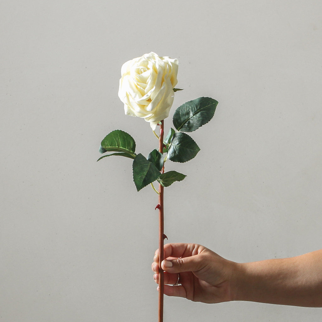 Rose 52cm White - Few and Far - Flowers & Foliage