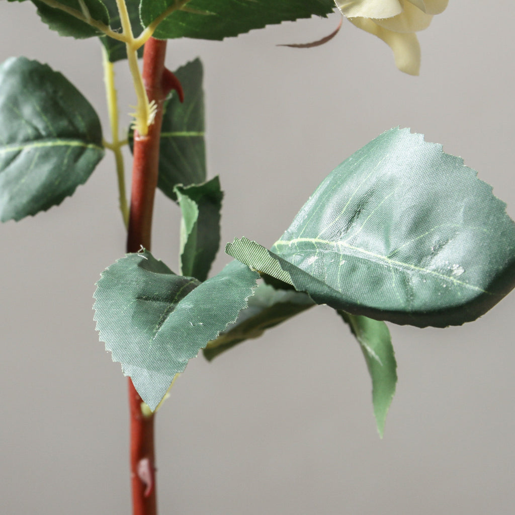 Rose 52cm White - Few and Far - Flowers & Foliage