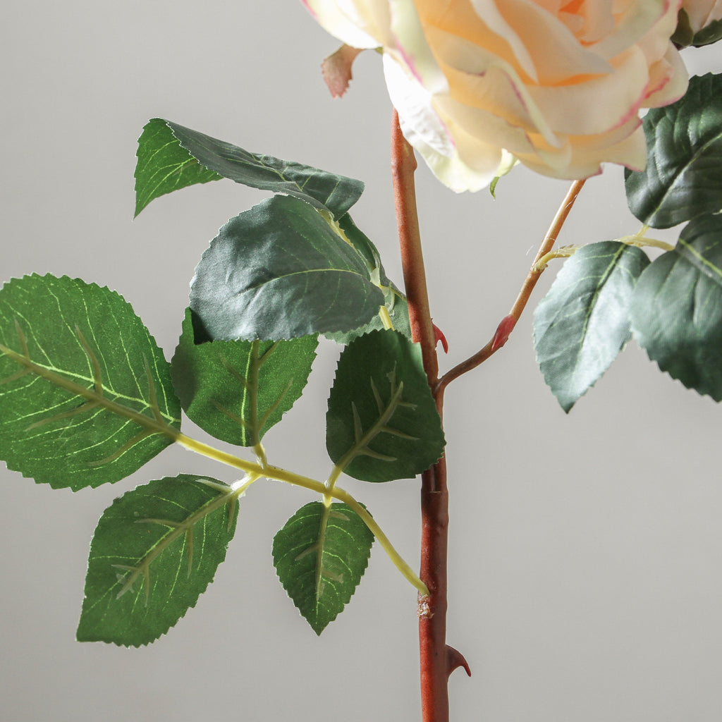 Rose 53cm Soft Pink - Few and Far - Flowers & Foliage