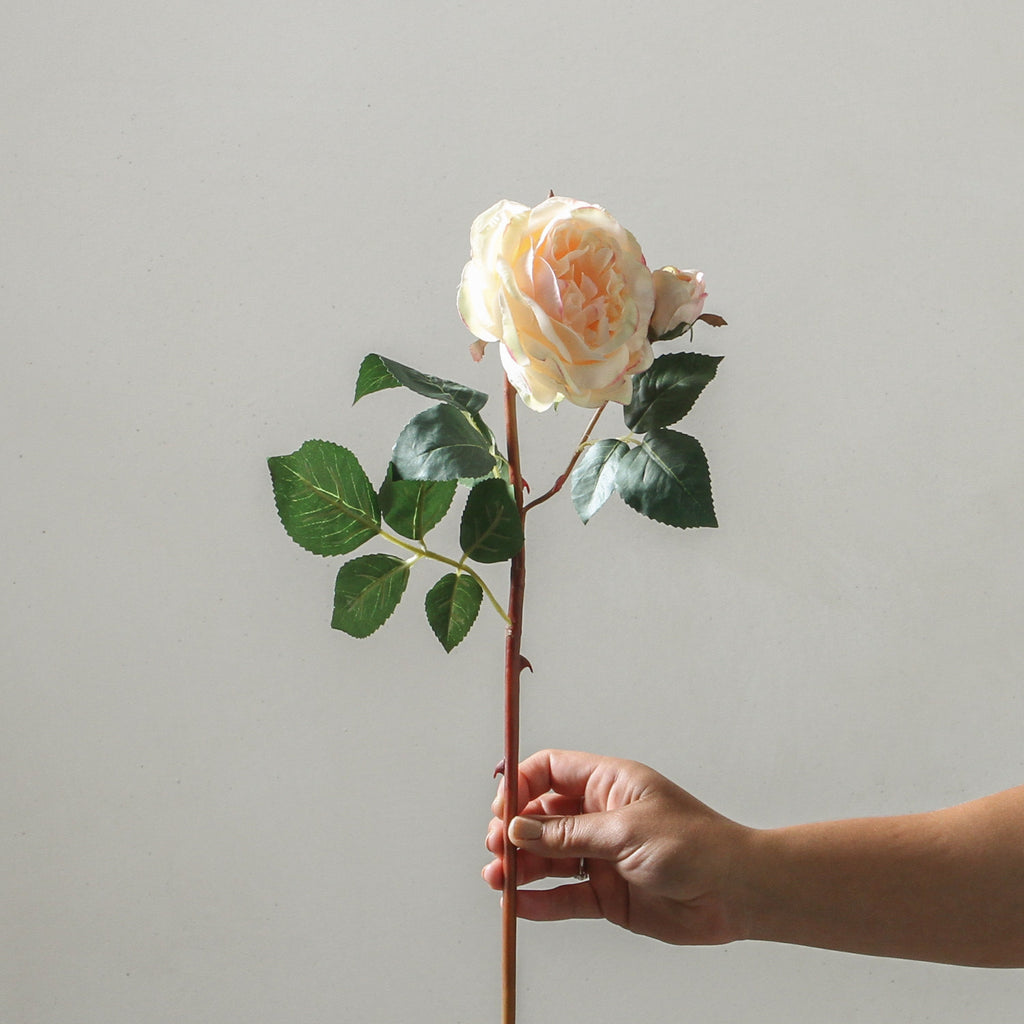 Rose 53cm Soft Pink - Few and Far - Flowers & Foliage