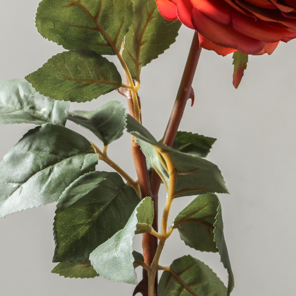 Rose 55cm Burnt Orange - Few and Far - Flowers & Foliage