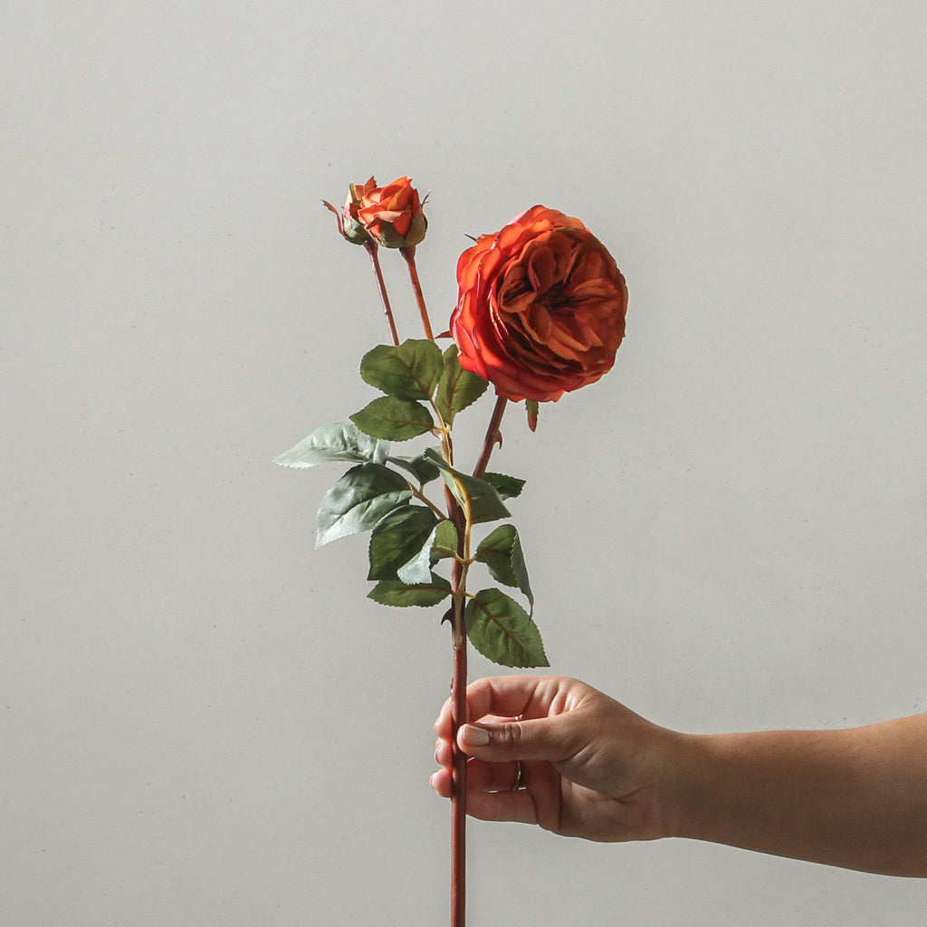 Rose 55cm Burnt Orange - Few and Far - Flowers & Foliage