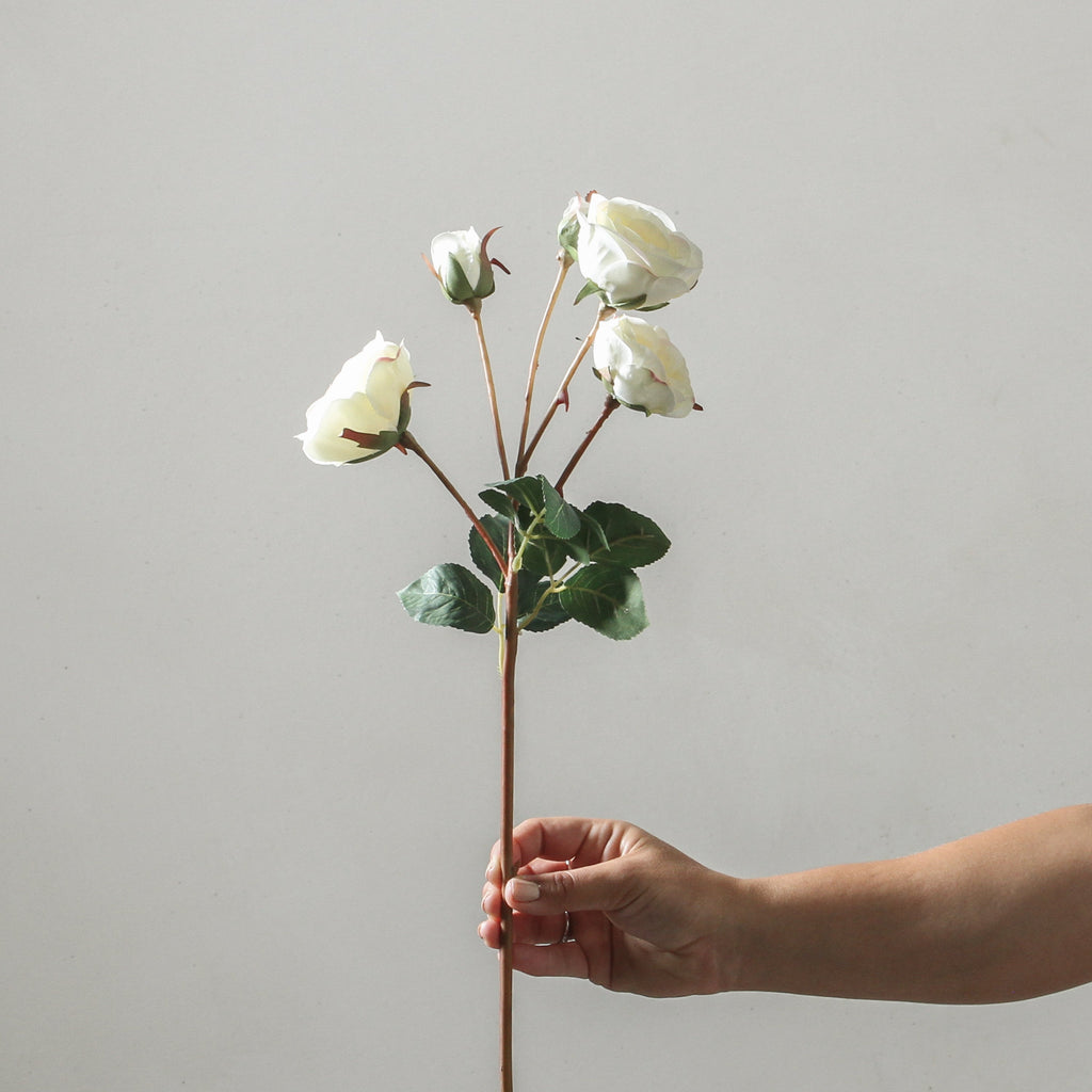 Rose 57cm White - Few and Far - Flowers & Foliage