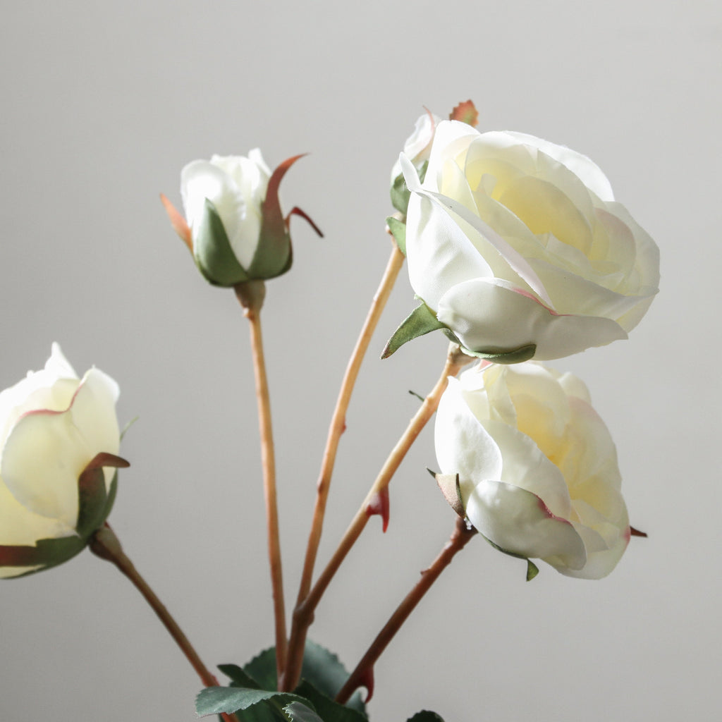 Rose 57cm White - Few and Far - Flowers & Foliage