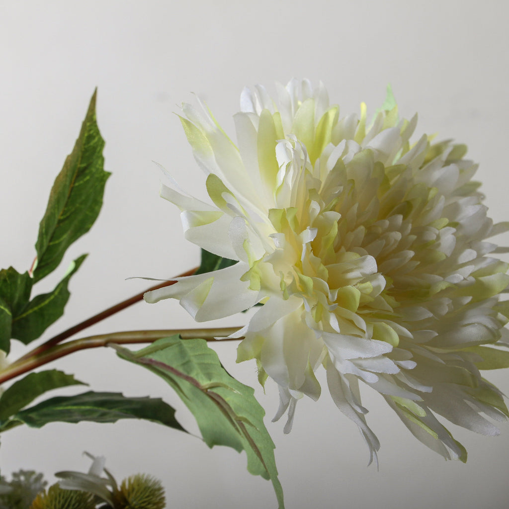 Sculptured Flourish - Few and Far - Flowers & Foliage