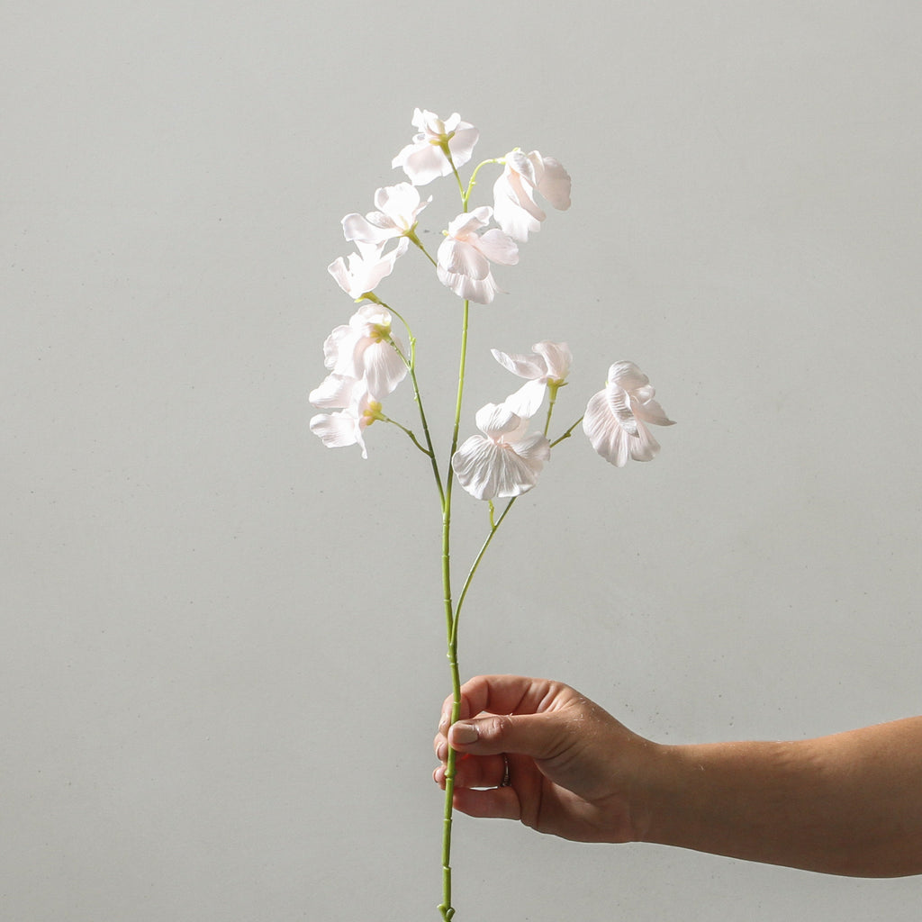 Sweet Pea Spray Soft Pink SP 60cm - Few and Far - Flowers & Foliage
