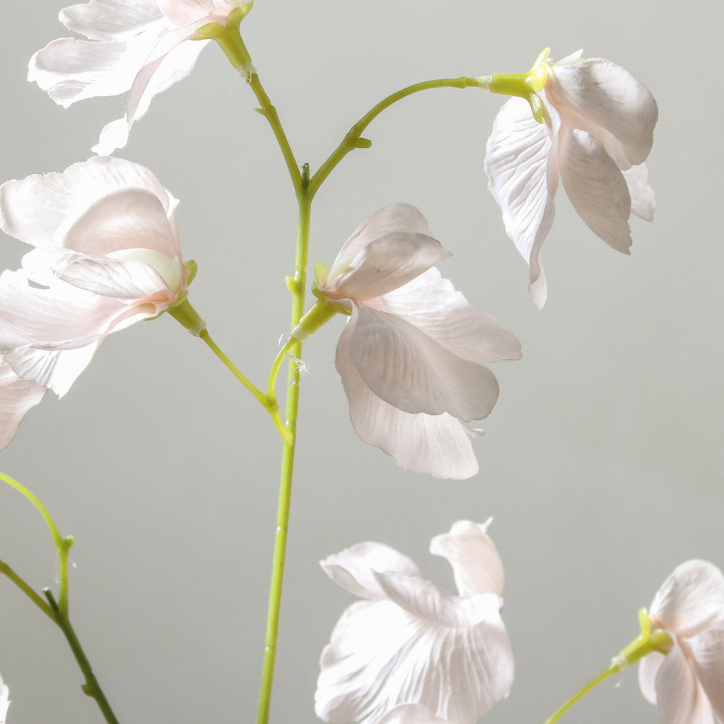 Sweet Pea Spray Soft Pink SP 60cm - Few and Far - Flowers & Foliage